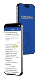 SO iPhone
