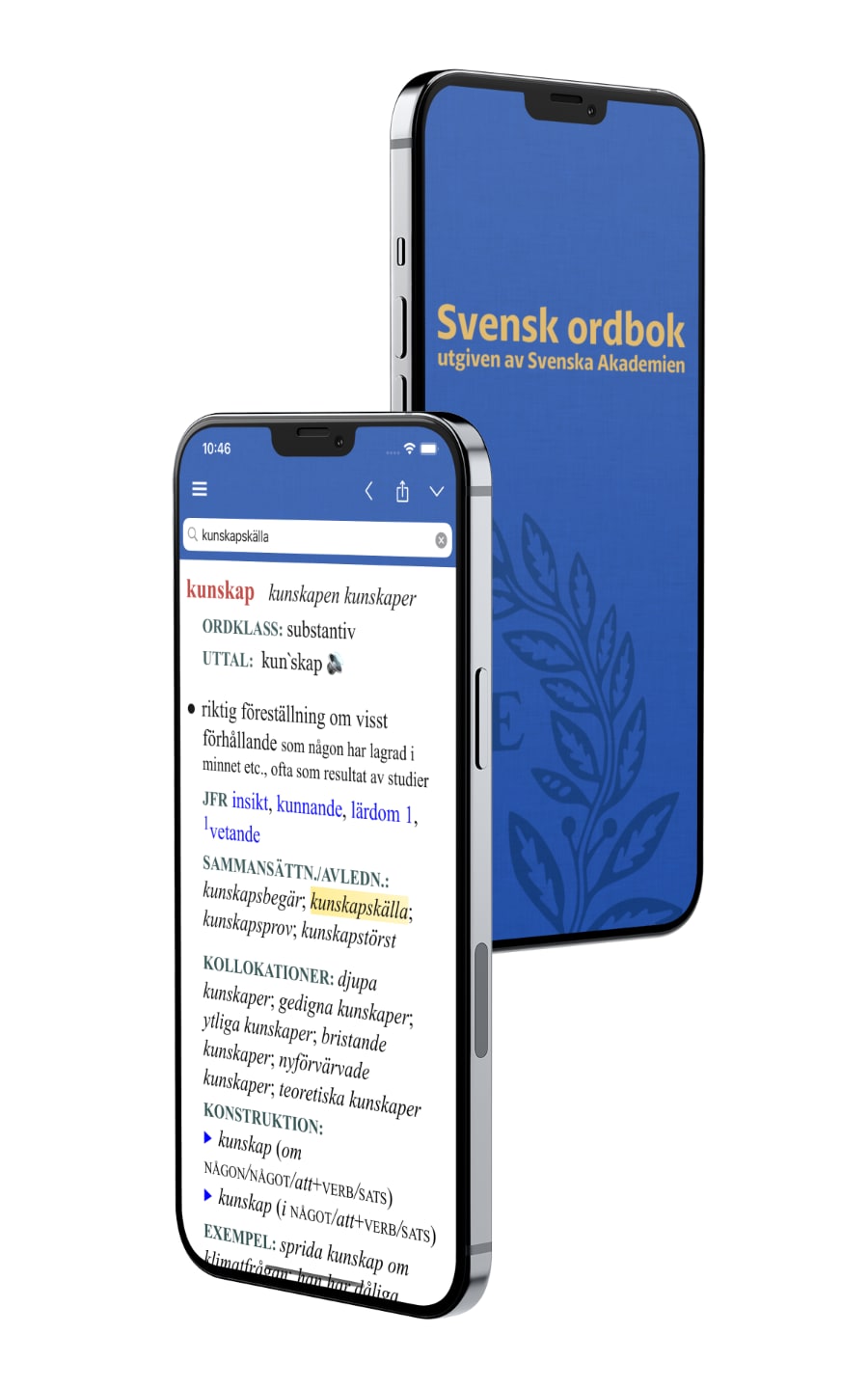 Svensk ordbok iPhone